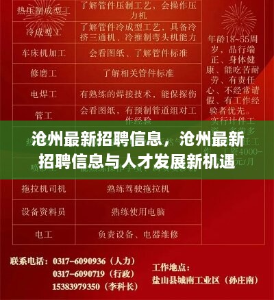 沧州纵横人才网最新招聘沧州纵横人才网最新招聘动态深度解析